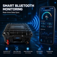 Batterie LiFePO4 25,6V 24V 100Ah avec BMS intelligent pour bateaux, navires, véhicules récréatifs et stockage d'énergie