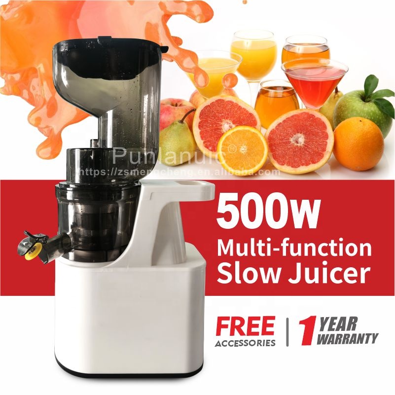 Extracteur de jus lent multifonctionnel 1