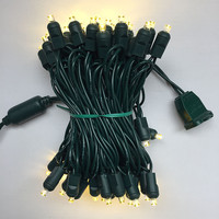 Factory Direct US Gauge IP65 Wasserdicht 5m 50 Lichter Outdoor Weihnachts baum Dekoration LED Lichterkette mit Dimmer