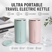 Mini bouilloire électrique portable de voyage, bouilloire électrique de voyage, appareils ménagers de 0.3 L, meilleure bouilloire électrique