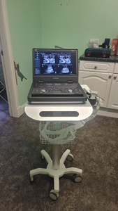 Sistema de Diagnóstico de Ecocardiografía Doppler a Color Portátil SonoScape E11 Propet, Precio del Ultrasonido Veterinario - Product Image 4