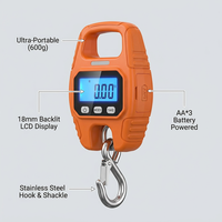 Pèse-grue numérique LCD en acier inoxydable avec crochet et manille, 30 kg, résistant à la corrosion, OEM pour l'alimentation/pêche