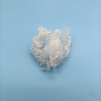 Fibre de silicone HCS creuse et conjuguée 3D 7D 15D à haute capacité de remplissage pour le rembourrage