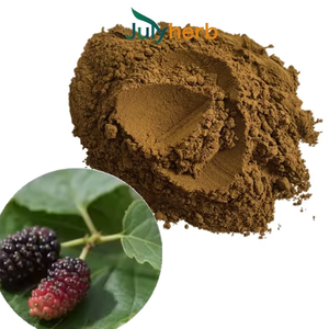 Julyherb Organique 1% DNJ De Qualité Alimentaire Poudre De Feuille De Mûrier Extrait D'eau Supplément À Base De Plantes En Vrac Or Standard Sac Emballé - Product Image 1