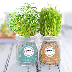 DIY Ion Négatif Petit <span class=keywords><strong>Pot</strong></span> Mini Enfants Plantation Hydroponique <span class=keywords><strong>Pot</strong></span> De Fleur Décoration De Table <span class=keywords><strong>Vanille</strong></span> Plantation - Product Image 5