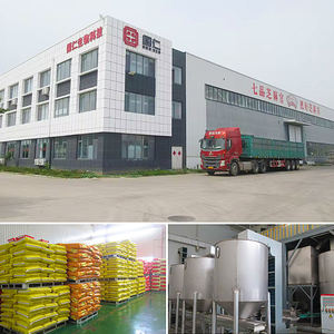 1 chilogrammo intero 1.000 organico principale esportatore di qualità superiore sfuso 100% semi di sesamo bianco puro a prezzo competitivo - Product Image 6