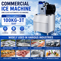 Machine à glace en flocons commerciale 100kg 200kg 500kg, refroidie par air, pour la production d'eau de mer pour fruits de mer et poissons