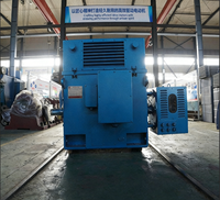 Moteur asynchrone triphasé à rotor bobiné 3kV/6kV/10kV pour broyeur à billes