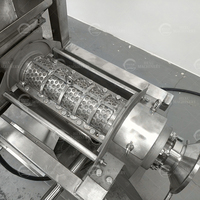 Extracteur de jus industriel à vis avec broyeur en acier inoxydable 304 pour pommes, ananas, tomates, fruits et légumes