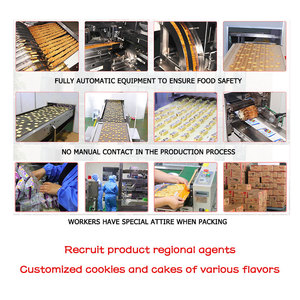 บิสกิตวีแกนฮาลาลขายส่งยอดนิยม ขนมปังกรอบอบกรอบ บิสกิตผักขายส่ง - Product Image 6