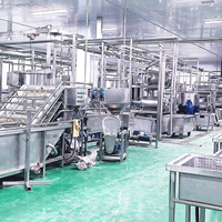Geavanceerde productielijn voor fruitdranken en fruitverwerkingsapparatuur