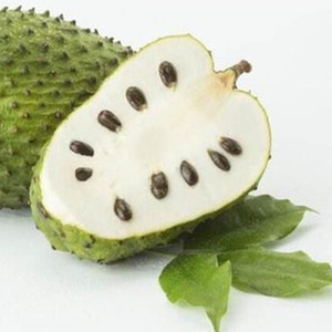 Premium Natuurlijke Zuurzak Fruitpoeder Zuurzak Vruchtensap Poeder - Product Image 2