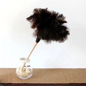 <span class=keywords><strong>Plumeau</strong></span> en Plumes d'Autruche Véritables avec Manche en Bois, Plumeaux de Nettoyage Naturels et Moelleux pour la Maison, le Bureau et les Surfaces Délicates - Product Image 6