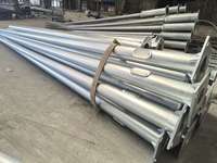 TIANHUANG Poste de Acero Galvanizado Cónico Octogonal para Alumbrado Público de 20ft, 25ft, 30ft, 5m, 6m, 7m, 8m, 9m, 12m
