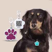 2024 individueller rostfreier stahl QR-Code Hund Katzen-Namenetikett Haustierkragen Anhänger individuelle Anti-Verloren-URL Haustier-Namen-ID-Tag Haustierzubehör