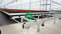 Grands bancs logistiques entièrement automatiques pour légumes et plantes Banc roulant stable Film d'aluminium Serres agricoles