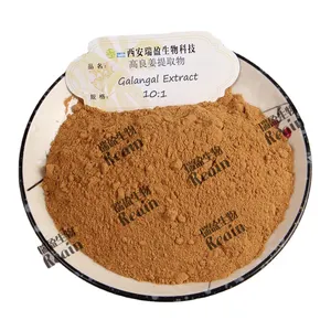 Herbal Supplement Galangal Root Extract 10:1 Galangal Rhizome Extract