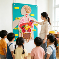 Kits pédagogiques Montessori sur les parties du corps humain pour les tout-petits, jouets d'apprentissage de l'anatomie préscolaire, éducation précoce OEM