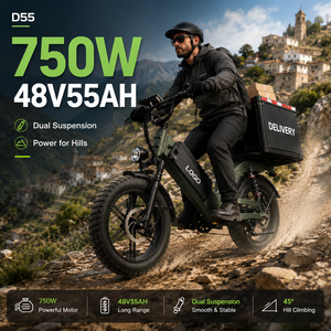 Bicicleta Eléctrica de Carga D55, 750W, Neumático Grueso de 20'', E-MTB, 48V55Ah, 240km de Autonomía, Bicicleta de Reparto OEM, Venta al Por Mayor - Product Image 1