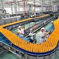 Fabrieksleverancier industriële geautomatiseerde productielijn voor geconcentreerd vruchtensap