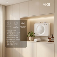 Chauffe-eau électrique instantané portable 3,5 kW sous évier avec écran tactile intelligent et affichage en anglais, boîtier en plastique