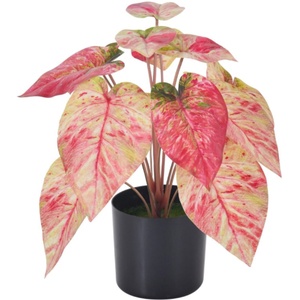 ประดิษฐ์กระถาง<span class=keywords><strong>สีชมพู</strong></span> Caladium พืชในร่มFaux Taroพืชหม้อสําหรับHome Officeโต๊ะห้องน้ําห้องนอนGreeneryตกแต่ง - Product Image 1