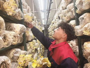 Système de culture de champignons entièrement équipé pour ferme intérieure, conteneur de culture hydroponique, usine végétale verticale, ensemble complet avec pompe - Product Image 5
