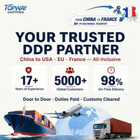 FCL LCL Seefracht-Agent 20 Container Versand nach Frankreich DDP Kostenlose Lieferung Fracht Luftlogistik