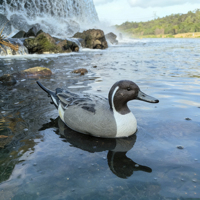 Leurre de canard avec système sonore intégré pour la chasse, équipement extérieur aquatique, flottant en EVA 3D réaliste