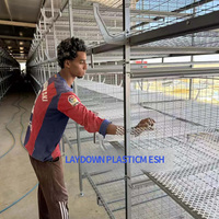 Cage à poulets empilable galvanisée résistante à la corrosion avec plancher en plastique pour élevage de poulets de chair en ferme avicole