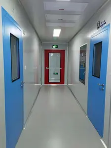 YICHANG Factory Price Clean Room Swing Door GMP Standard Laboratory Clean Room Doors