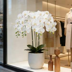 Orquídeas Artificiales de Primera Calidad para Grandes Bodas y Celebraciones en el Hogar - Product Image 5