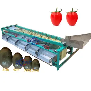 fruit washing and sorting machine