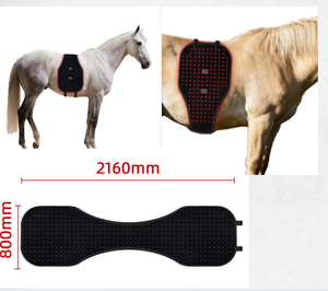 Enveloppe lumineuse thérapeutique pour le ventre du <span class=keywords><strong>cheval</strong></span>, rechargeable par USB-C, en matériau SBR, 320 LED 660:850nm, pour soins vétérinaires équin - Product Image 1