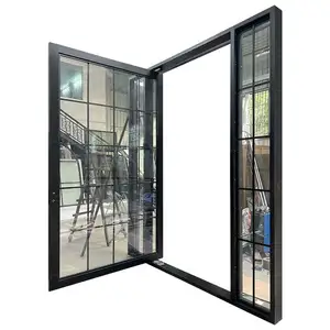 澳大利亚别墅黑色定制入口格栅玻璃钢锻铁枢轴门，带侧视镜