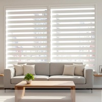 Stores zébrés personnalisés pour la décoration intérieure, stores enrouleurs jour et nuit pour le salon, stores élégants pour fenêtres