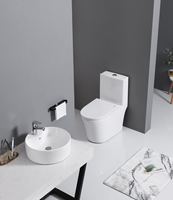 Chaozhou Usine En Gros S Piège WC Ensemble De Toilette Sanitaire Armoire D'eau Une Pièce En Céramique Toilettes pour Salle De Bains