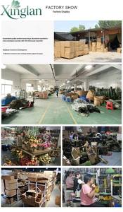 Fleur d'orchidée artificielle en plastique imprimée en 3D de marque <span class=keywords><strong>Dubo</strong></span>, toucher réel, 9 têtes de Phalaenopsis, pour décoration de Pâques et de mariage, Chine - Product Image 4