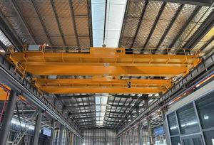 เครนเหนือศีรษะแบบคานคู่ 10 ตัน ระยะช่วง 20 เมตร สำหรับยกของในอุตสาหกรรม - Product Image 5