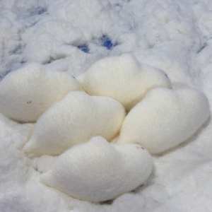 CHENXI Juguetes Blandos de Foca de Simulación Mochi, Juguetes Sensoriales de Animales Marinos Súper Suaves de Levantamiento Lento para Niños y Adultos - Product Image 6