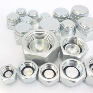 Kit de Tapones BSP de Alta Calidad para Mangueras y Tuberías, Juego de Tapones Hidráulicos BSP Galvanizados 45 #   Acero con Precisión - Product Image 5