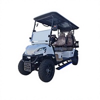 Voiturette de golf électrique tout-terrain surélevée 6 places, buggy de golf à batterie lithium 72V avec éclairage latéral LED pour les visites panoramiques des centres de villégiature