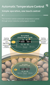52H <strong>Incubator</strong> New Arrive Full <strong>Automatic</strong> 52 Chicken Eggs <strong>Mini</strong> Solar Egg <strong>Incubator</strong> for Family Use - Product Image 6