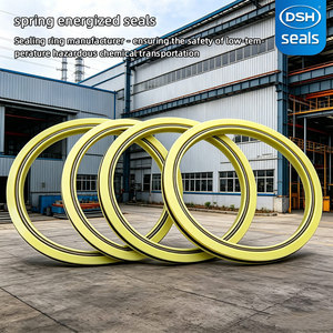 Joints à ressort UHMWPE pour service rotatif haute pression -196 ° <span class=keywords><strong>Joint</strong></span> d'étanchéité combiné pour raccordement <span class=keywords><strong>de</strong></span> pipeline GNL résistant aux températures extrêmes - Product Image 2
