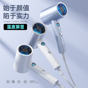 ไดร์เป่าผมมอเตอร์ดีซี 220V ป้องกันความร้อนแบบไอออนิก หัวเป่าเดี่ยว ใช้ในบ้านและร้านเสริมสวย - Product Image 4