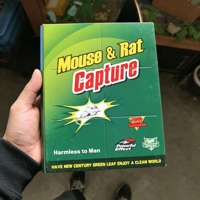 Pegamento Fuerte para Ratones, Tabla Adhesiva para Control de Plagas, Trampas para Ratas, Tablas Adhesivas