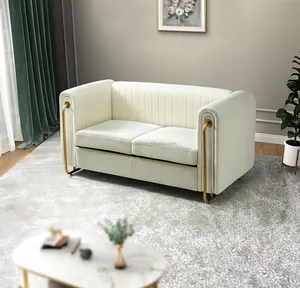 Wood Frame Sponge Upholstery Modern Luxury Loveseat Hotels Villas Bedrooms Malls 2 Seater White Velvet Sofas