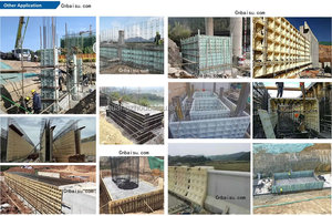 Ván khuôn nhựa cho ván khuôn nhựa bê tông cho xây dựng, ván khuôn nhựa tái sử dụng, ván khuôn nhựa PVC ABS PP - Product Image 5