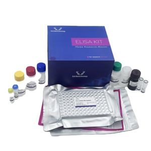Kit ELISA PDGFAB humano (factor <span class=keywords><strong>de</strong></span> crecimiento derivado <span class=keywords><strong>de</strong></span> plaquetas <span class=keywords><strong>AB</strong></span>) para uso en investigación - Product Image 1