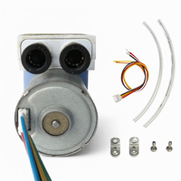 Pompe 12V sans balais à double chambre micro 32, débit stable, 4L/min, système de contrôle OEM de haute qualité garanti